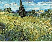 Vincent Van Gogh Green Wheat Field with Cypress USA oil painting artist